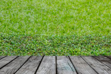 Boş eski ahşap masa arkaplanı olan yeşil bokeh