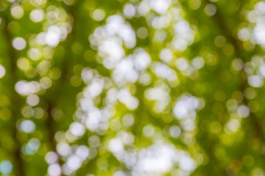 soyut bokeh bulanıklık arka planı