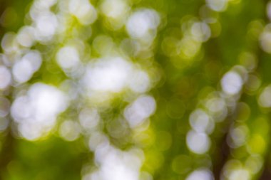 soyut bokeh bulanıklık arka planı