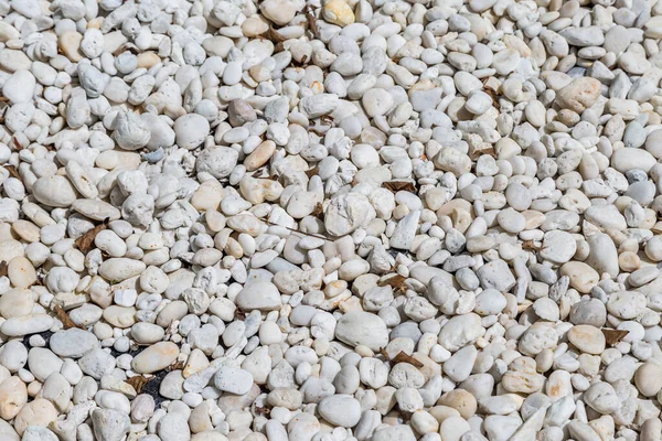 Natural Polished White River Rock Pebbles Background — Stock Photo, Image