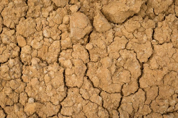 砕いた地面乾燥地乾燥地のテクスチャの背景 脱水植物は成長しません — ストック写真