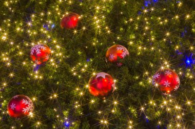 Noel ağacı süslemesindeki ışıklar