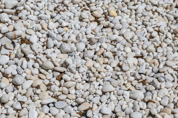 Natural Polished White River Rock Pebbles Background — Stock Photo, Image