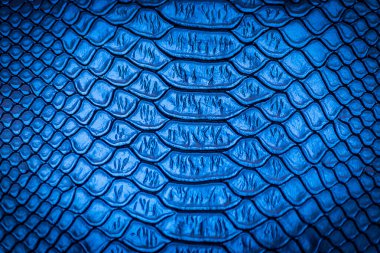 Arkaplan için yılan derisi dokusu kullanımını kapat