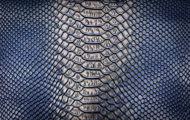 arkaplan için deri dokusu kullanımı