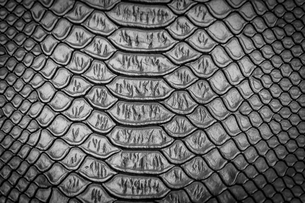 Close Snake Skin Texture Use Background — Stock Photo, Image