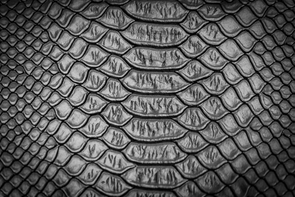 Закрытие Текстуры Кожи Змеи Заднего Плана — стоковое фото