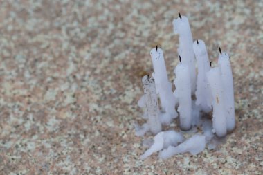 Taş zeminde beyaz mum var.