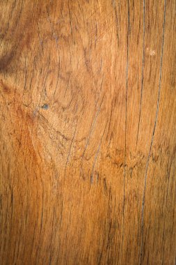 Doğa ahşap dokusu arka planı