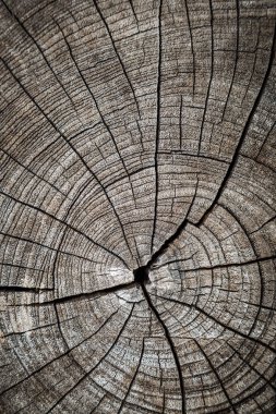 Arka plan için doğal desenlere sahip eski ahşap doku