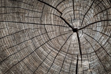 Arka plan için doğal desenlere sahip eski ahşap doku