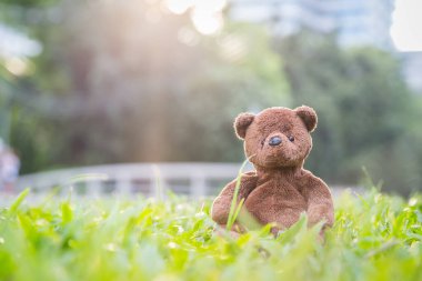 Kahverengi ayıcık arka planda tek başına oturuyor.