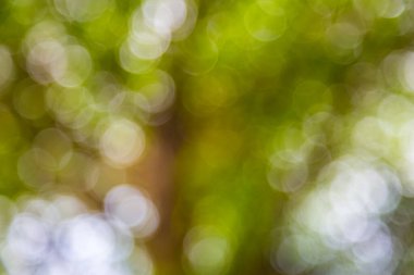 Arkaplan için açık yeşil bokeh