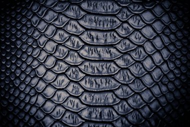 Arkaplan için yılan derisi dokusu kullanımını kapat