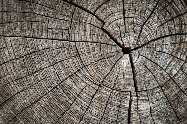 Старовинна Текстура Дерева Використанням Природних Візерунків Тла — стокове фото