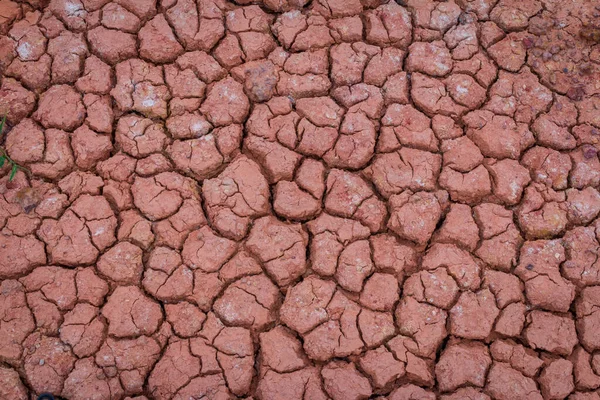 Desert red dry and thirsty soil crack background
