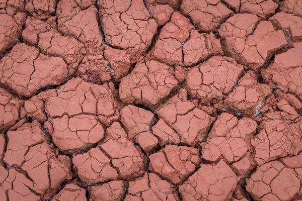 砂漠の赤乾燥し 喉の渇き土壌亀裂の背景 — ストック写真
