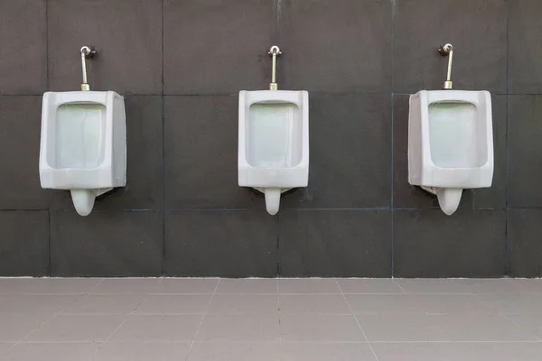 Fila Hombres Urinario Blanco Baño Público Con Fondo Pared Gris — Foto de Stock