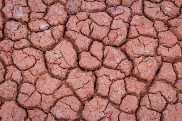 Desert red dry and thirsty soil crack background