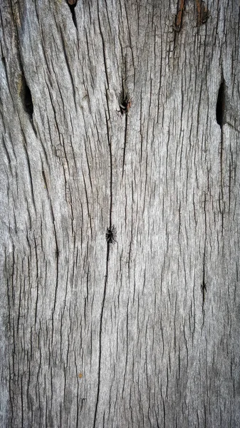 Alte Natur Holz Textur Verwendung Für Hintergrund — Stockfoto