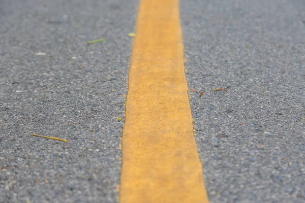 Close Yellow Line Public Park People Exercise Cycling Good Health — Stock Photo, Image