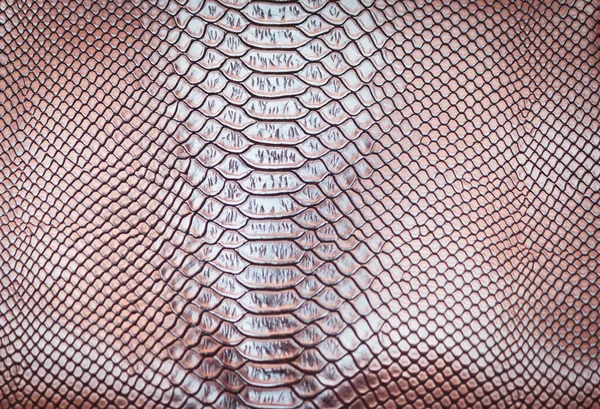 Skin Leather Texture Use Background — Stock Photo, Image