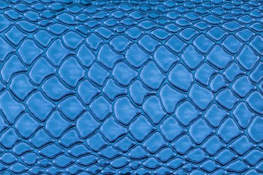 Duvar kağıdı olarak mavi egzotik yılan derisi deseni