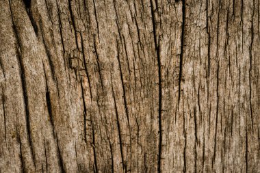 arkaplan için eski ahşap doku kullanımı