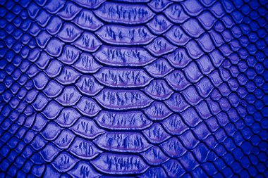 Arka plan için mavi Lüks yılan derisi dokusu kullanımını kapat