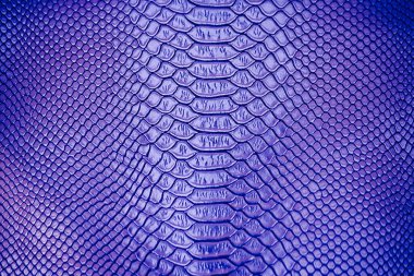 Arka plan için mavi Lüks yılan derisi dokusu kullanımını kapat