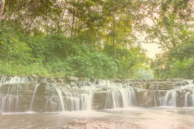 Yeşil orman şelalesi doğa arka planı