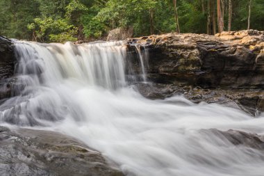Orman şelalesi doğa geçmişi