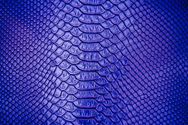 Arka plan için mavi Lüks yılan derisi dokusu kullanımını kapat