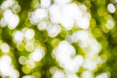 Yeşil Vintage soyut Bokeh bulanık arka plan