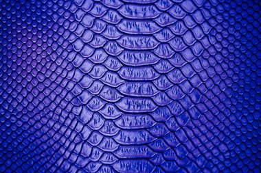 Arka plan için mavi Lüks yılan derisi dokusu kullanımını kapat