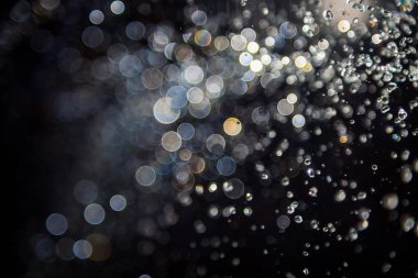 Su sineği bokeh ve arka plan ışık