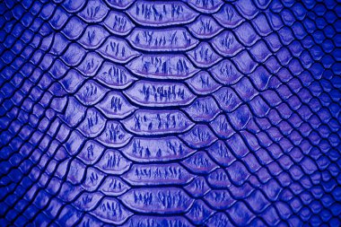 Arka plan için mavi Lüks yılan derisi dokusu kullanımını kapat