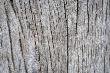 arkaplan için eski ahşap doku kullanımı