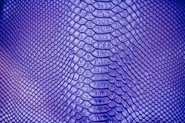 Arka plan için mavi Lüks yılan derisi dokusu kullanımını kapat