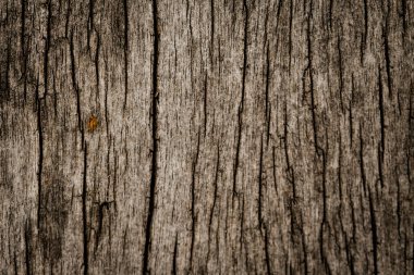 arkaplan için eski ahşap doku kullanımı