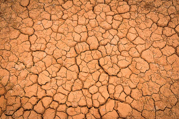 Crack Země Crack Půdy Období Sucha Globální Červí Efekt Pozadí — Stock fotografie