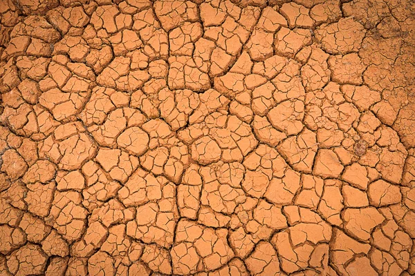 乾燥期のき裂土 き裂土 全球温暖化効果の背景 — ストック写真