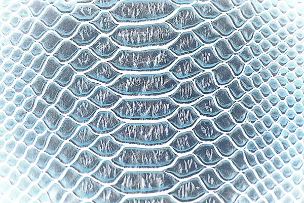 Κοντινό Πλάνο Του Abstract Luxury Snake Skin Texture Για Φόντο — Φωτογραφία Αρχείου