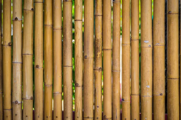 Nature Bamboo Fence Background — Stock Photo, Image