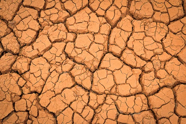 Pęknięcie Ziemi Pęknięcie Gleby Porze Suchej Globalne Tło Efektu Robaka — Zdjęcie stockowe