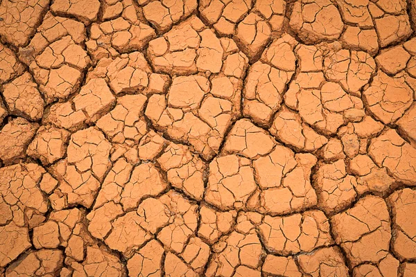 Crack Earth Crack Soil Dry Season Global Worming Effect Background — 스톡 사진