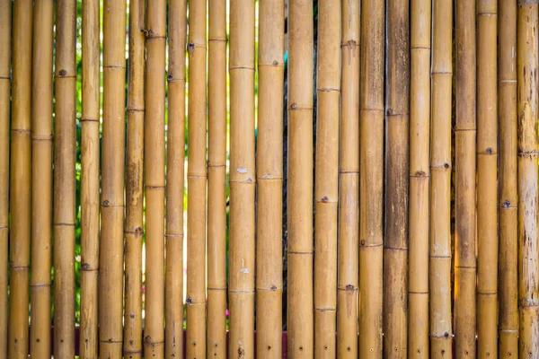 Natuur Bamboe Hek Achtergrond — Stockfoto