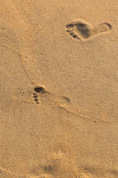 Odcisk Stopy Ojca Dziecka Tle Plaży — Zdjęcie stockowe