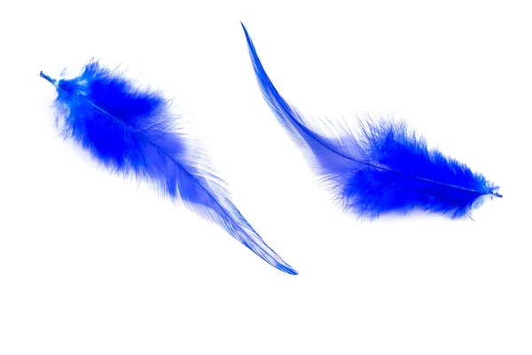 Mavi Tüy Beyaz Arkaplanda Izole Edildi — Stok fotoğraf