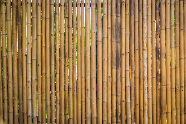 Naturaleza Bambú Valla Fondo —  Fotos de Stock